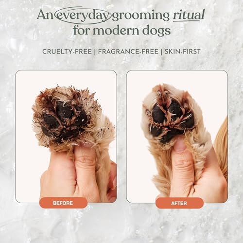 Dandylion, Clean Paws Refill, No Rinse Dog Paw Cleaner, Foaming Paw Washer - Image 5
