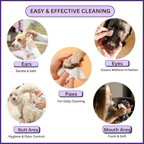 Aurora Pet Wipes – 100% Natural, Plant-Based Hypoallergenic Grooming Wipes for Dogs & Cats – Extra-Durable, Large & Thick for Effortless Cleaning (Lavender, 100 Count) - Image 5
