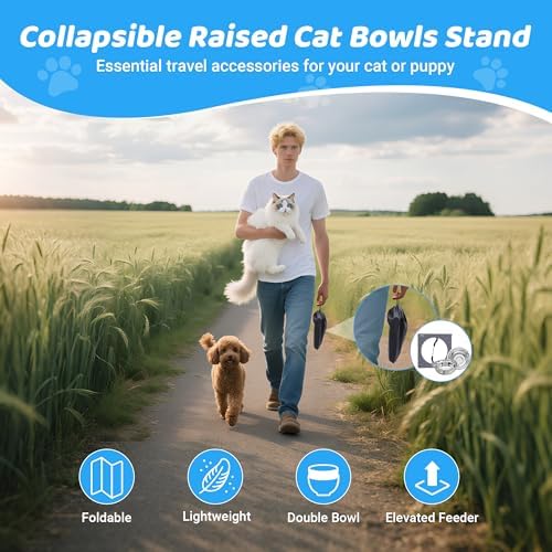 Upgraded Elevated Cat Bowls with Food Mat,10°Tilted Foldable Stand Anti Vomiting Raised Cat Dishes for Food and Water,2 Stainless Steel Bowls for Cats and Puppy(with Mat) - Image 5