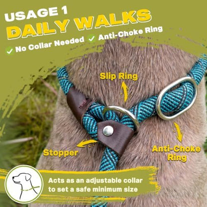 Fida Durable Slip Lead Dog Leash, 6 FT x 1/2" Dog Training Leash, Blue - Image 4