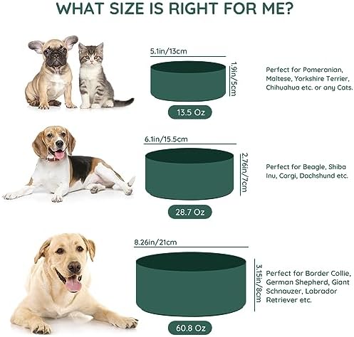 SPUNKYJUNKY 28.7OZ Ceramic Dog and Cat Bowl, Modern Cute Weighted Food Water Bowl for Replacement Green (1 Pack) - Image 3