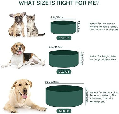 SPUNKYJUNKY 28.7OZ Ceramic Dog and Cat Bowl, Modern Cute Weighted Food Water Bowl for Replacement Green (1 Pack) - Image 3