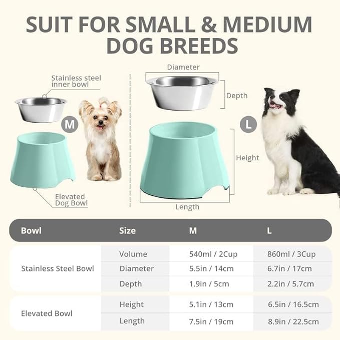 Fluffydream Elevated Dog Bowls, Prevention of Vertebrae Disease, Non-Slip With Stainless Steel Bowl, High Capacity Food Bowls (MintGreen 2 Packs, L 860ML / 3 Cups)