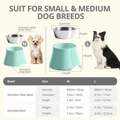 Fluffydream Elevated Dog Bowls, Prevention of Vertebrae Disease, Non-Slip With Stainless Steel Bowl, High Capacity Food Bowls (MintGreen 2 Packs, L 860ML / 3 Cups)
