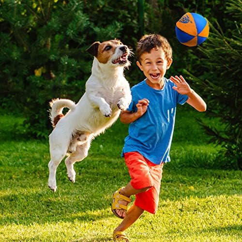 Nerf Dog Trackshot Ball Dog Toy with Interactive Squeaker and Crunch, Lightweight, Durable and Water Resistant, 4.5 Inches, For Medium/Large Breeds, Single Unit, Blue/Orange - Image 5