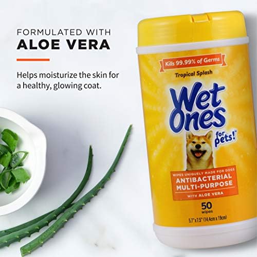 Wet Ones for Pets Antibacterial Dog Wipes, Tropical Splash, 50 Count - Image 3