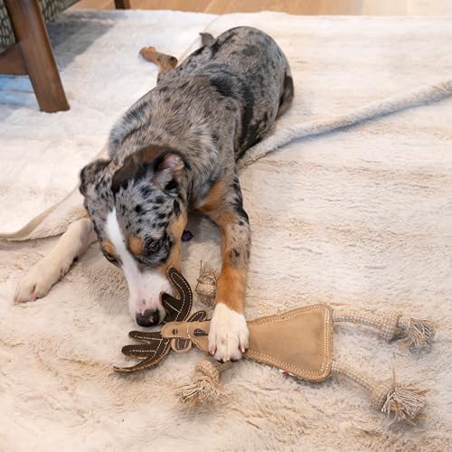 SPOT Dura-Fused Leather Forest Animals - Dog Toy with Squeaker and Rope Limbs, Real Leather and Jute Chew Toy, Durable No-Stuffing Toy For Light to Moderate Chewers - 14in, Assorted Styles, 1 Piece - Image 6