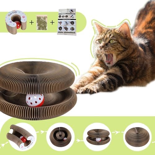 Kitty Curls Cat Toys Cat Scratching Board Toy with Ball Foldable Accordion Honeycomb Toy for Indoor Cats & Kittens, Twisty Paws cat Toy(1pcs) - Image 2