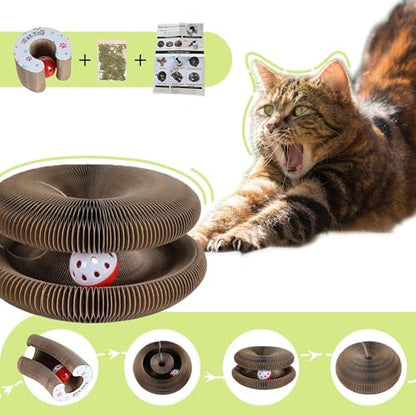 Kitty Curls Cat Toys Cat Scratching Board Toy with Ball Foldable Accordion Honeycomb Toy for Indoor Cats & Kittens, Twisty Paws cat Toy(1pcs) - Image 2