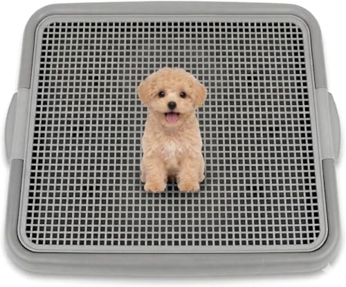 UPIT Puppy Potty Tray with Mesh – Dog Pee Pad Holder for Small Dogs & Puppies, Indoor Dog Potty Training Toilet, Plastic Leak-Proof Dog Potty Tray (Small - 20 x 16 in) by UPIT