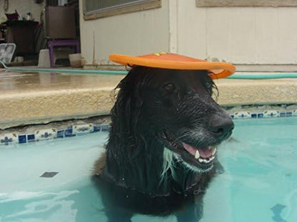 Nerf Dog Nylon Flyer Dog Toy, Flying Disc, Lightweight, Durable and Water Resistant, Great for Beach and Pool, 9 inch diameter, for Medium/Large Breeds, Single Unit, Orange - Image 5