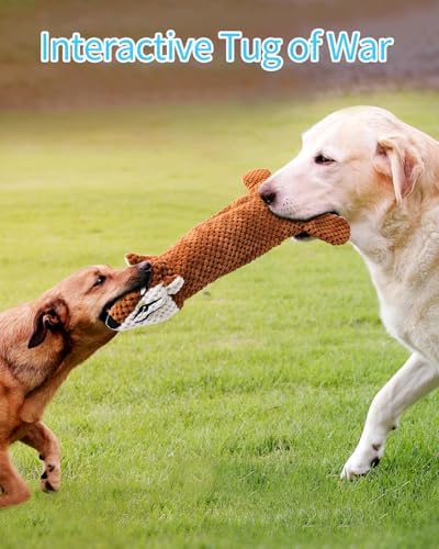 Dog Toys, Squeaky Plush No Stuffing Crinkle Dog Toy for Small Medium Large Dogs, [3 Pack] Interactive Puppy Teething Water Bottle Dog Chew Toy - Image 6