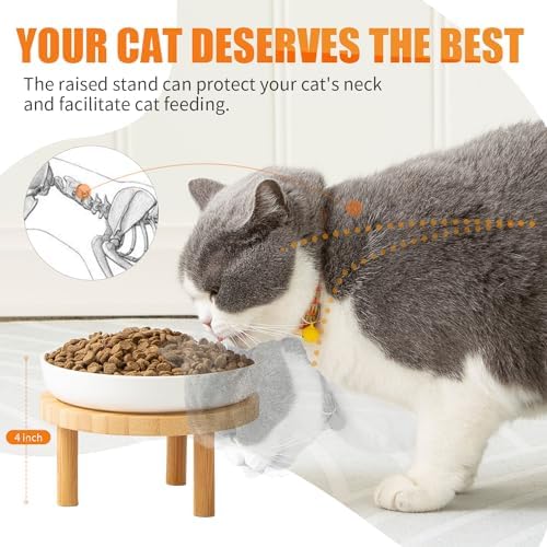 Lusifaco Shallow Wide Elevated Cat Bowls Whisker Fatigue (Blue,Set of 2) - Image 2