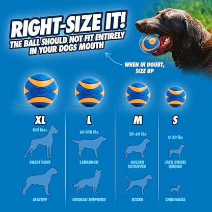 Chuckit! Ultra Squeaker Fetch Balls for Dogs, Floats, Medium 2.5in, 2 Pack - Image 6