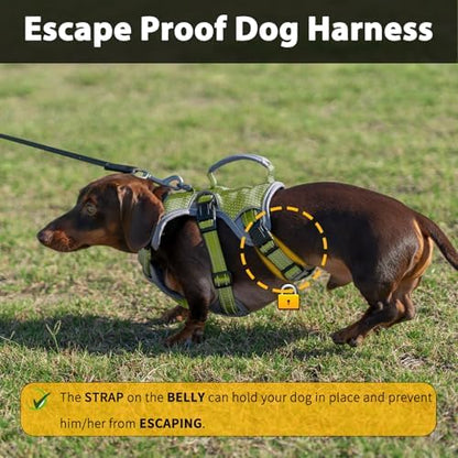 Huntboo Escape Proof Dog Harness, Dachshund Harness, Reflective Dog Harness with Handle, Durable,Adjustable Vest for Small Medium Large Dogs Walking, Training, and Running Gear (Green,L) - Image 2