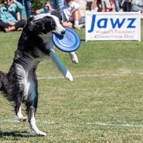 Hyperflite K-10 Jawz Puncture Resistant Dog Flying Disc, Medium-Large - Image 5