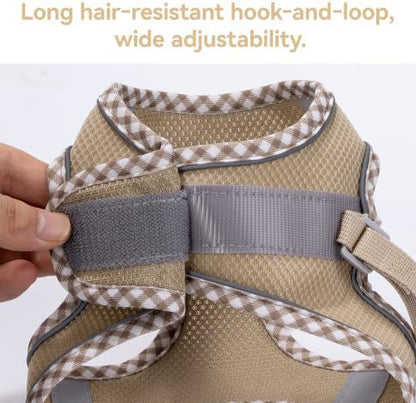 Petank Step in Dog Harness No Pull and Leash for Small Medium Dogs Cats. - Image 5