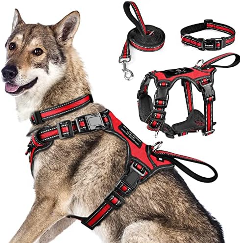 WINSEE Pet Harness Collar and Leash Set, All-in-one Reflective Dog Harness No Pull with Adjustable Buckles for Puppies, Small, Medium, Large, and Extra-Large Dogs (X-Large, Red) by WINSEE