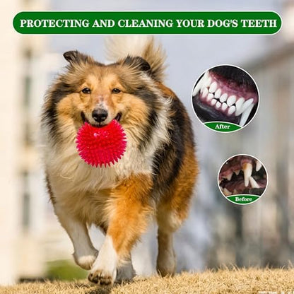 4.5″ Squeaky Dog Balls 4 Color Dog Toys Balls for Medium Large Dogs Pet Puppy Chew Toys for Teething No Odor Durable Spiky Balls for Teeth Cleaning and Training for Large Dogs (Large) - Image 5