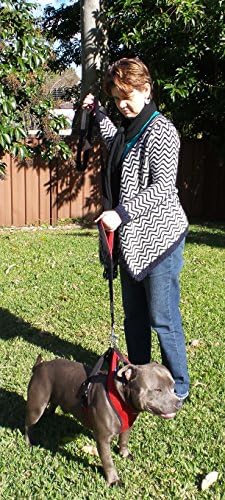 Primal Pet Gear Dog Leash 8ft Long - Black - Traffic Padded Two Handle - Heavy Duty - Double Handles Lead for Control Safety Training - Leashes for Large Dogs or Medium Dogs - Dual Handles Leads - Image 3
