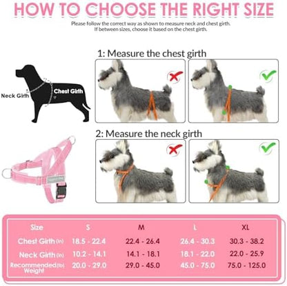 SlowTon No Pull Dog Harness and Leash Set - Heavy Duty, Soft Padded - Image 6