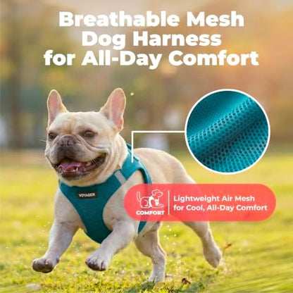 Voyager Step-in Air Dog Vest Harness - Turquoise, Large - Image 5