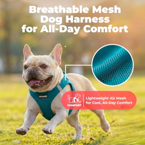 Voyager Step-in Air Dog Vest Harness - Turquoise, X-Large - Image 5