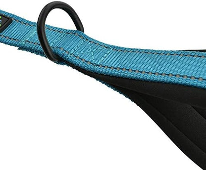 Wagtime Club Heavy Duty Double Handle Dog Leash for Large Medium Small Dogs - Image 7