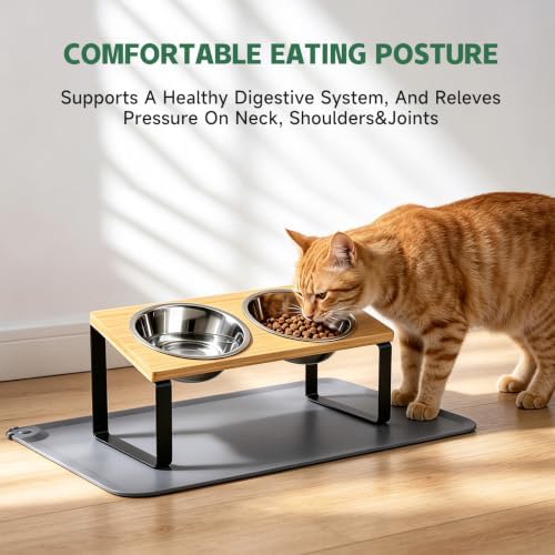 Elevated Tilted Cat Food Bowls with Mat, 304 Stainless Steel 2 Water Bowls - Image 2