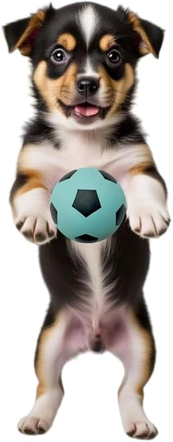 4 Pack Squeaky Dog Ball, Soft Latex Rubber Squeaky Dog Toys for Small, Cute Bounce Squeak Toys Play Fetch Soccer BallOrange, （Green, Pink, Light Blue