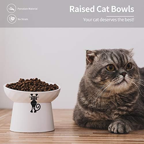 Ceramic Tilted Raised Cat Bowls, Elevated Cat Food and Water Bowl Set - Image 2