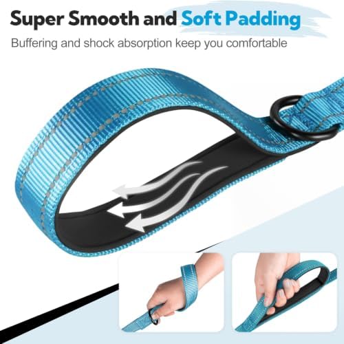 Dual-Handle Dog Leash 6FT, Heavy Duty Nylon with Reflective Threads,Blue - Image 2