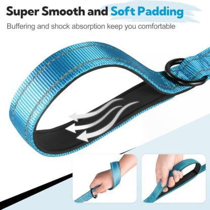 Dual-Handle Dog Leash 6FT, Heavy Duty Nylon with Reflective Threads,Blue - Image 2