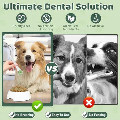 Dog Teeth Cleaning Powder, Dog Dental Powder, Dog Dental Care, Targets Tartar & Bad Breath & Reduces Plaque, Dental Powder for Dog Teeth Cleaning, Green - Image 5