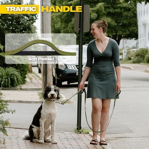 Fida 10 FT Heavy Duty Dog Leash, Dual Padded Handles for Medium Large Dogs - Image 4