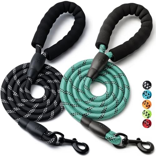 2 Pack Dog Leash,Heavy Duty Nylon Rope Pet Leashes(6FT-1/2,Black/Turquoise) by BOOMIBOO