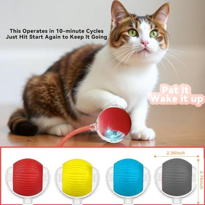 Speedy 2.0 Tail Interactive Cat Toys for Indoor Cats, Automatic Cat Toy with Elastic Mesh Tail, Electric Rolling Ball on Carpet, Chirping and Motion Activate Cat (Red) - Image 6