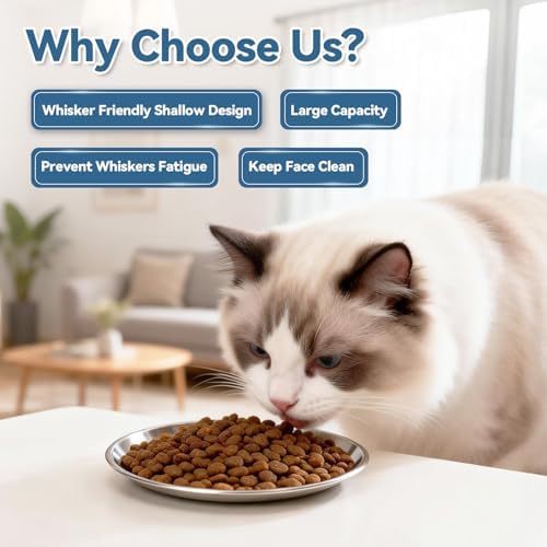 8 Pack Stainless Steel Cat Food Bowls, Cat Dishes Shallow Whisker-Friendly Metal Dishes with Non-Slip Silicone Bottom, Easy to Clean Indoor Feeding Bowls for Cats, Kittens & Small Dogs (6.7") - Image 6