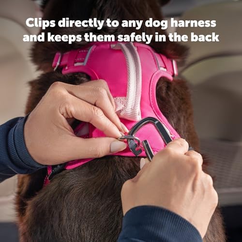 PetSafe Safety Seatbelt Dog Tether, Black - Image 4