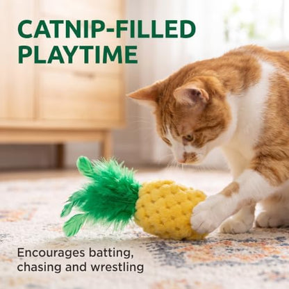 BWESOO Pineapple Shape Cat Chew Toy - Catnip Molar Toys Teeth Cleaning Toy Pet Bite Resistant Pet Supplies,Fun Toy for Exercise Interactive Plush Playing Toy for Cat Kitten Yellow - Image 4