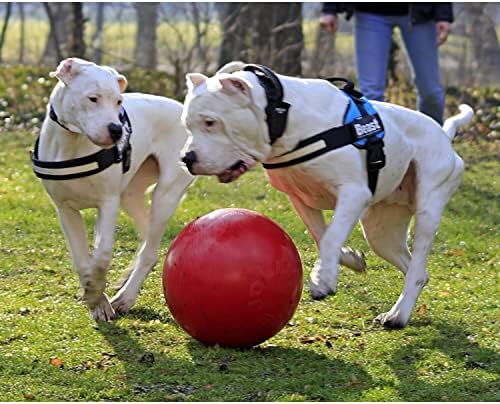 Jolly Pets Push-N-Play Small Dog Ball Toy, 4.5 in, Red - Image 4