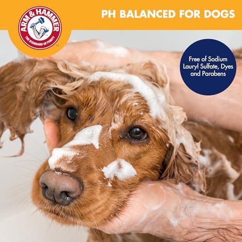 Arm & Hammer Odor Control No-Rinse Dog Foam, Kiwi Blossom, 16 Fl Oz - Image 5