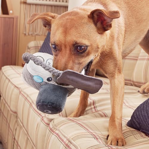 BarkBox Licka K9 Camera Dog Toy - Toy for Medium to Large Dogs - Image 4