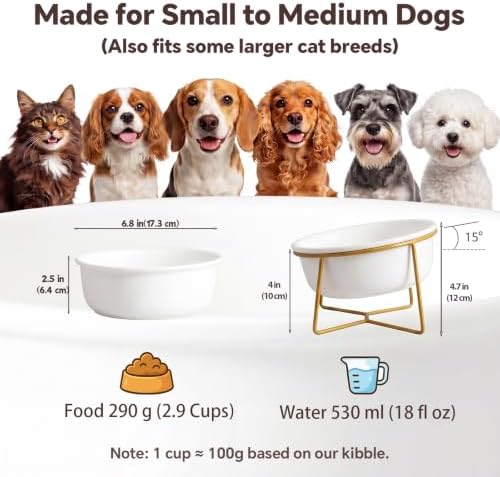 White Large Ceramic Tilted Elevated Cat Dog Bowl Raised Cat Food Water Bowl Dish Pet Comfort Feeding Bowls with Gold Iron Stand - Image 2
