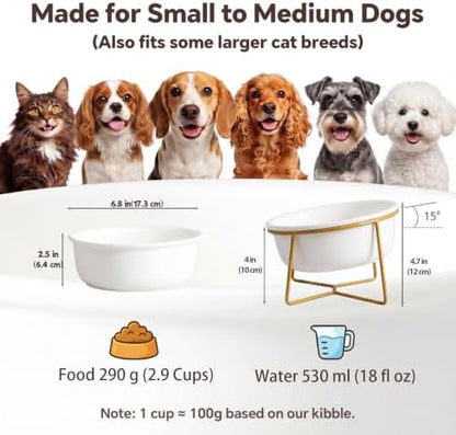 White Large Ceramic Tilted Elevated Cat Dog Bowl Raised Cat Food Water Bowl Dish Pet Comfort Feeding Bowls with Gold Iron Stand - Image 2