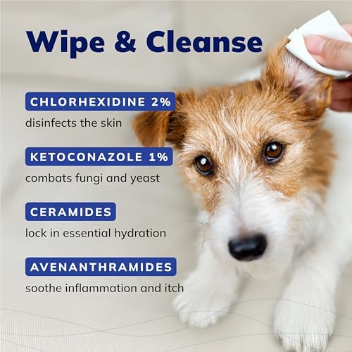 CeraSoothe CHX+KET Antiseptic Wipes for Dogs, Cats & Horses – Chlorhexidine 2% & Ketoconazole 1% for Skin & Coat Cleansing, 30 count - Image 2