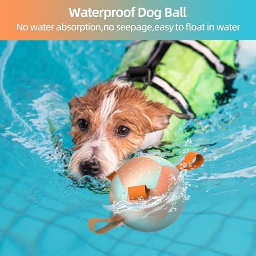 QDAN Small Puppy Dog Balls Toys, Dog Soccer Ball with Straps, 5 Inch - Image 4