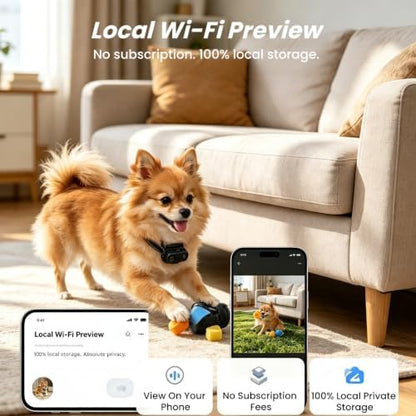 2K POV Cat Camera Collar with 32GB SD Card, WiFi Hotspot for App - Image 3
