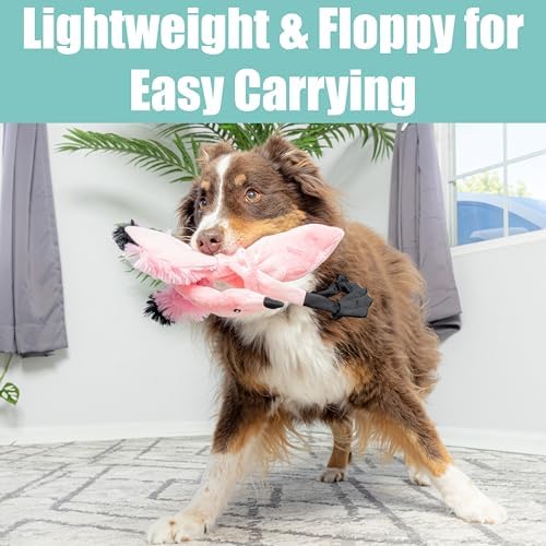 SPOT Skinneeez Flamingo 19 Inch Stuffing-Free Plush Dog Toy with Dual Squeakers – Long Interactive Chew Toy for Medium and Large Dogs – Mess-Free Play for Light & Moderate Chewers - Image 6