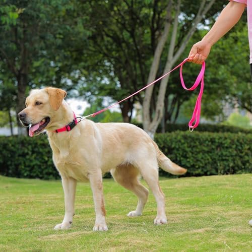Waterproof Dog Leash, 5/6 FT Durable Odor-Proof Dog Leashes with Strong Metal Hooks Fits Small Medium or Large Dogs (Pink, 6FT - 1 inch Width) - Image 6